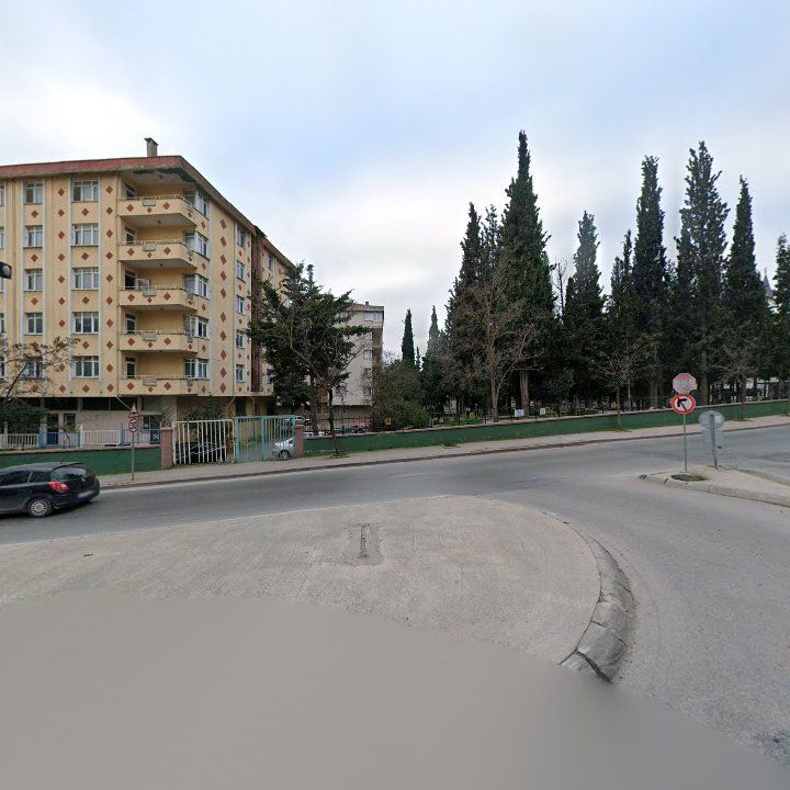 Fotoğraf 11
