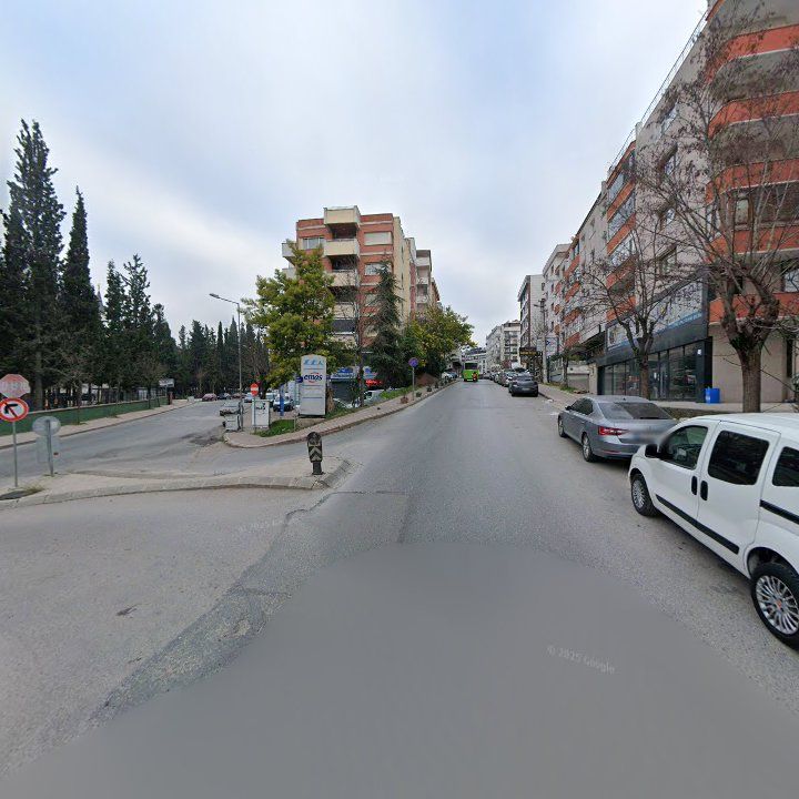 Fotoğraf 12