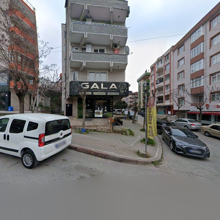 Fotoğraf 13