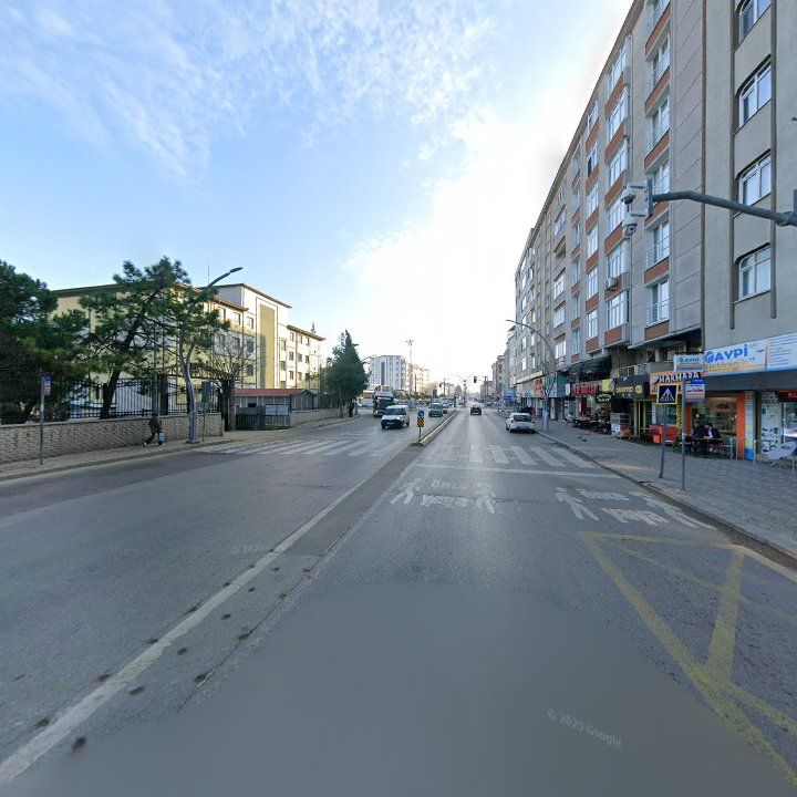 Fotoğraf 7