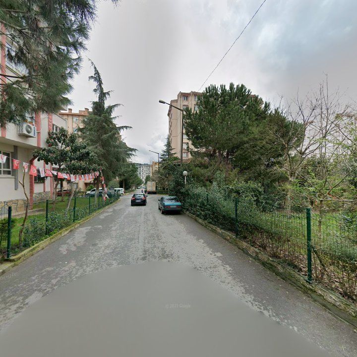 Fotoğraf 9