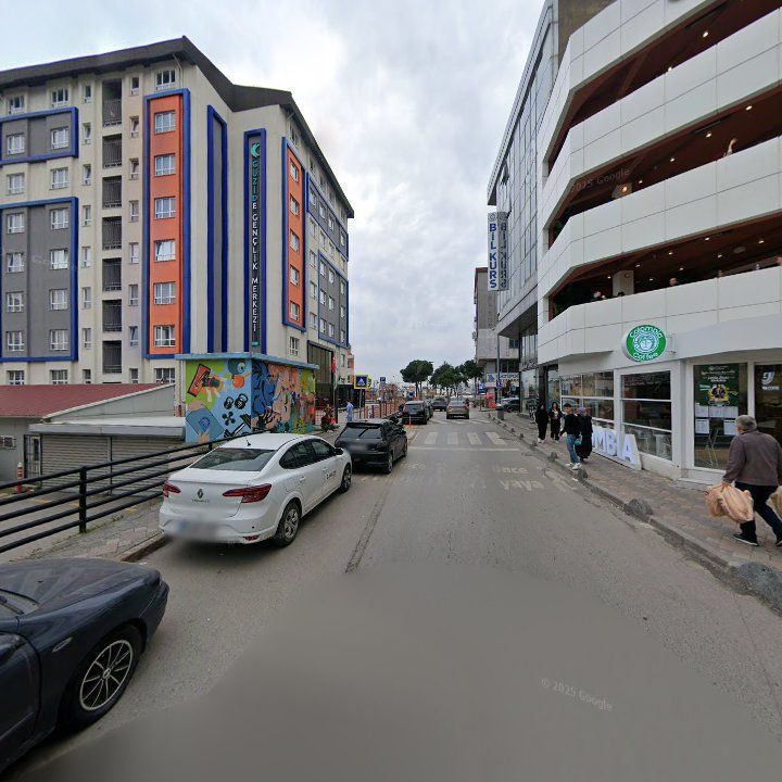 Fotoğraf 16