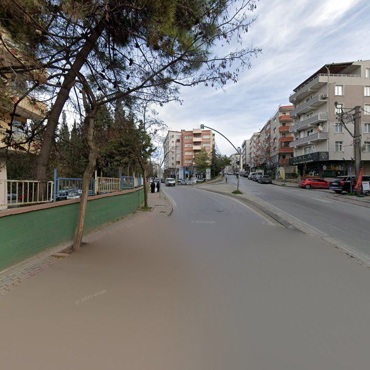 Fotoğraf 12