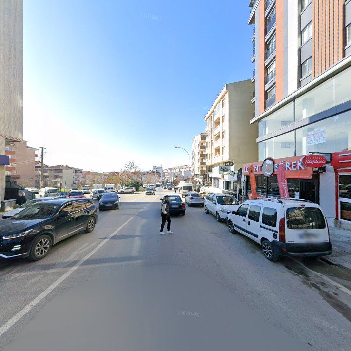 Fotoğraf 8