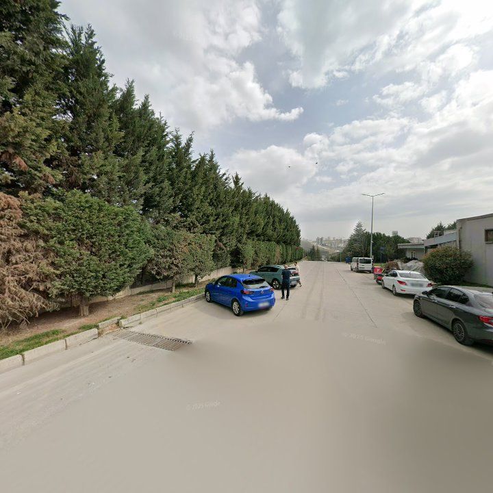 Fotoğraf 10