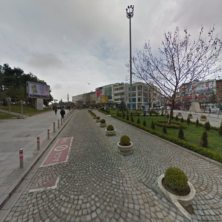 Fotoğraf 10