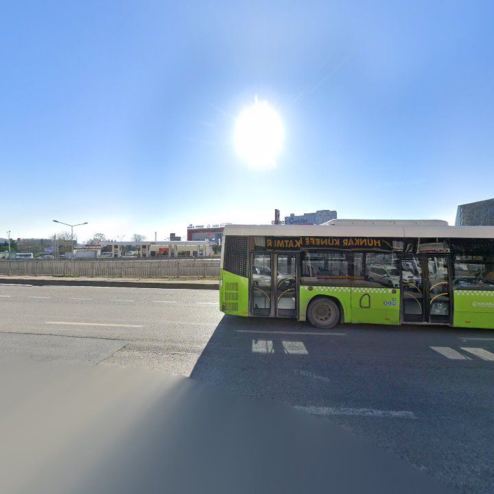 Fotoğraf 11