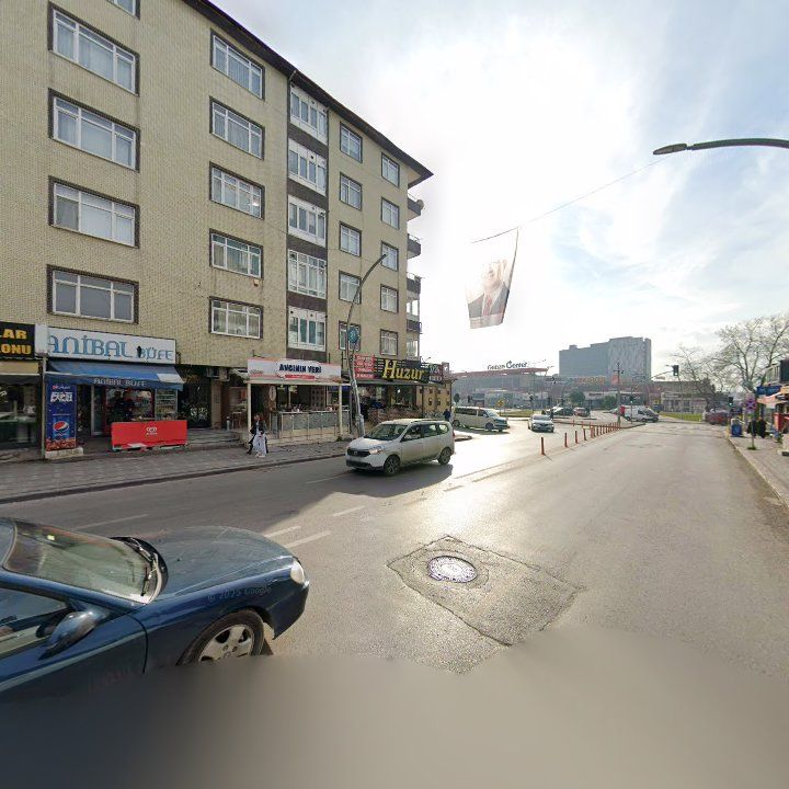 Fotoğraf 11