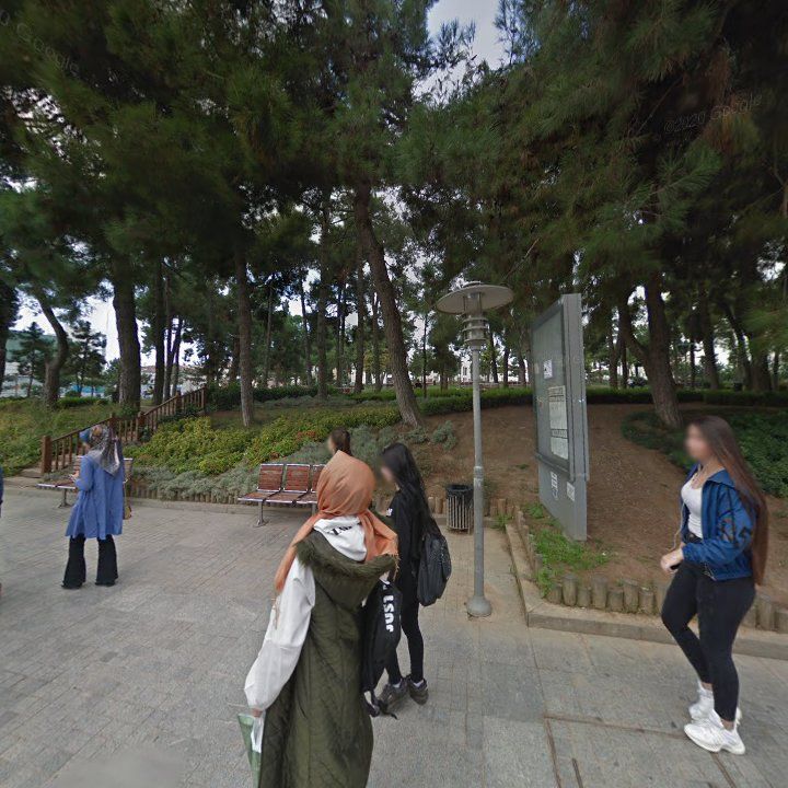 Fotoğraf 8