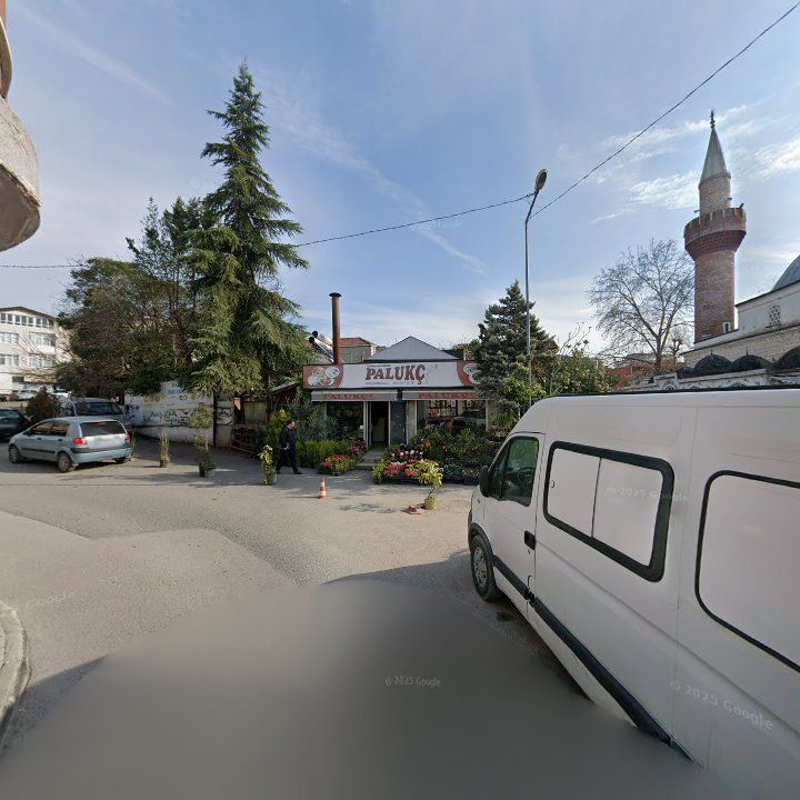 Fotoğraf 8