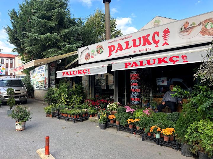 Palukçi