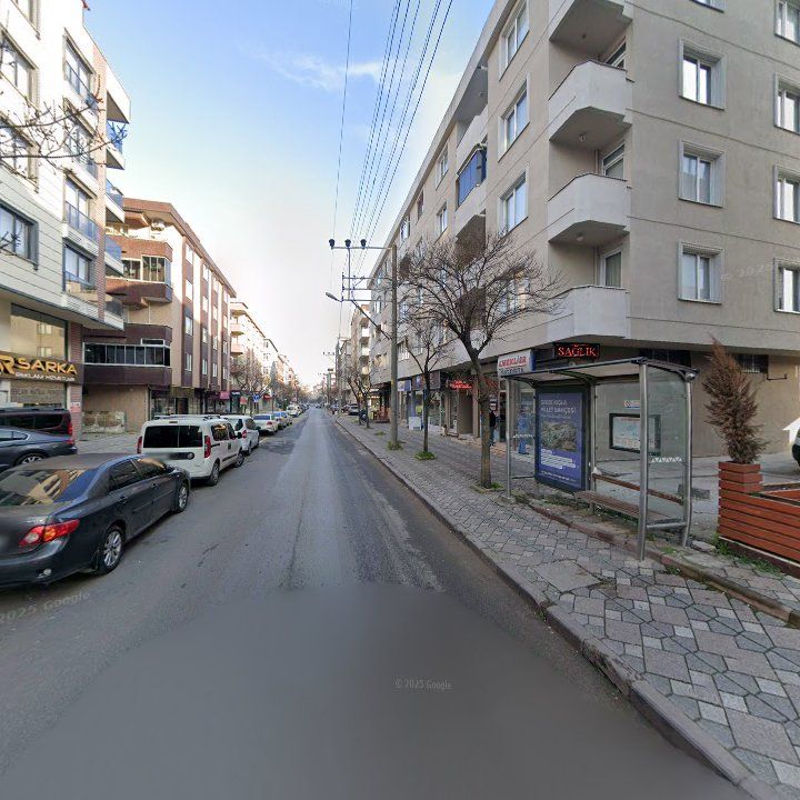 Fotoğraf 11