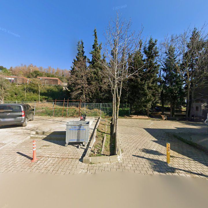 Fotoğraf 9