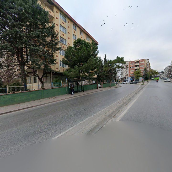 Fotoğraf 8