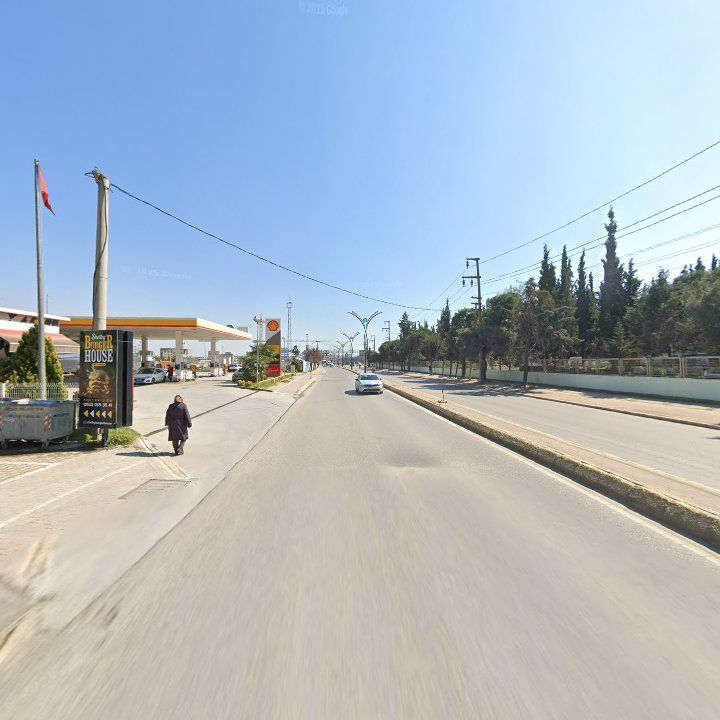 Fotoğraf 10