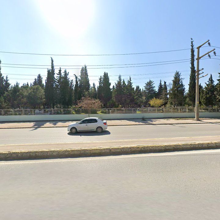 Fotoğraf 11
