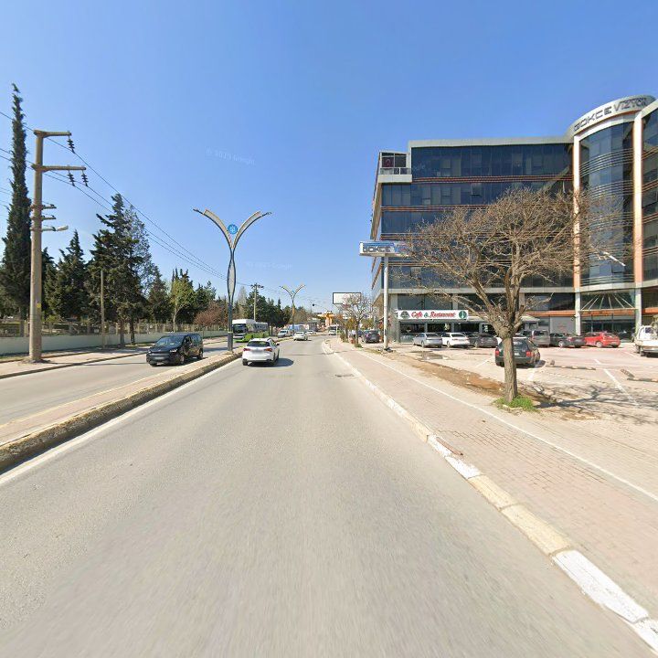 Fotoğraf 12