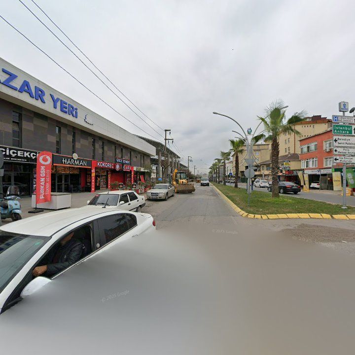 Fotoğraf 8