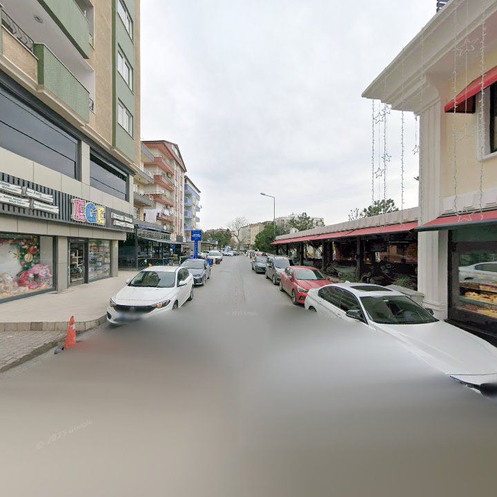 Fotoğraf 13