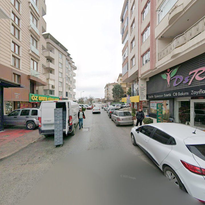 Fotoğraf 11