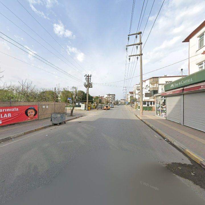 Fotoğraf 8