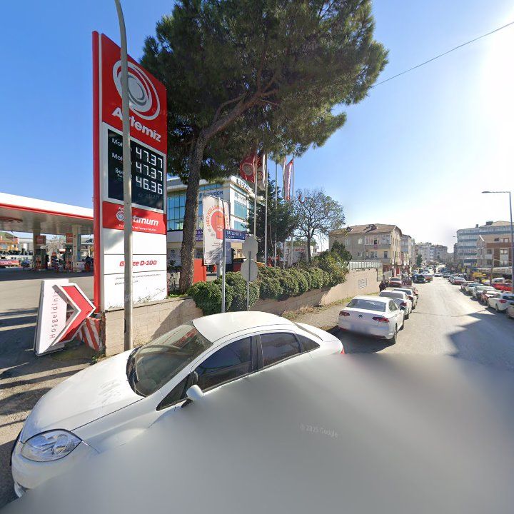 Fotoğraf 10