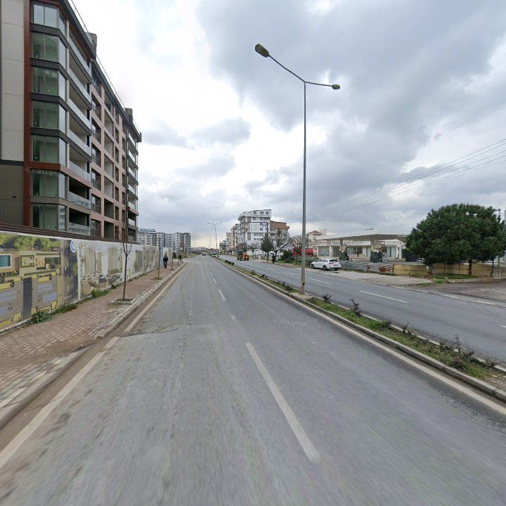 Fotoğraf 11