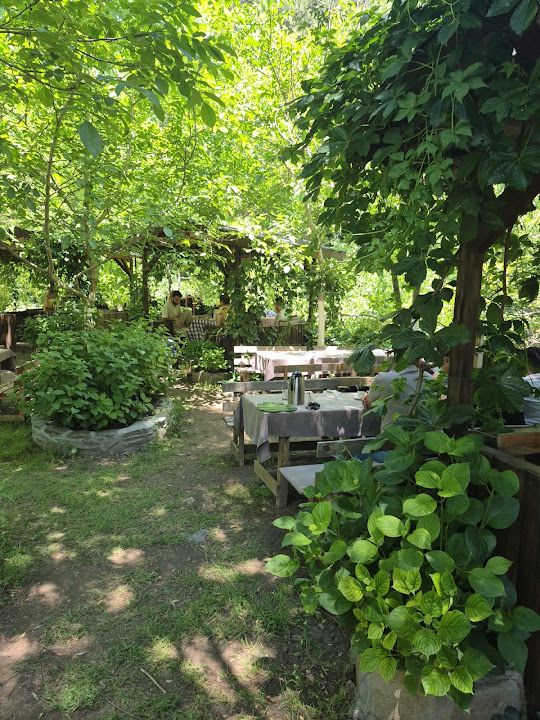 Fotoğraf 33