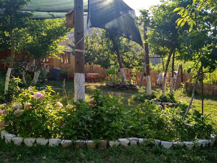 Yorum fotoğrafı 3