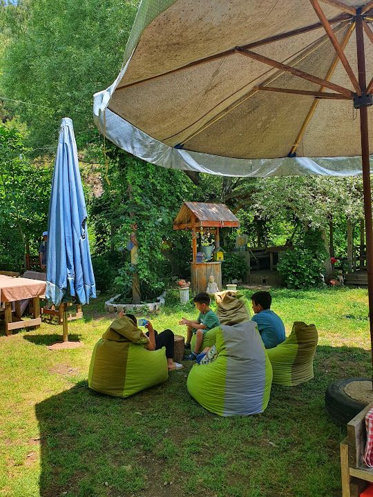 Yorum fotoğrafı 2