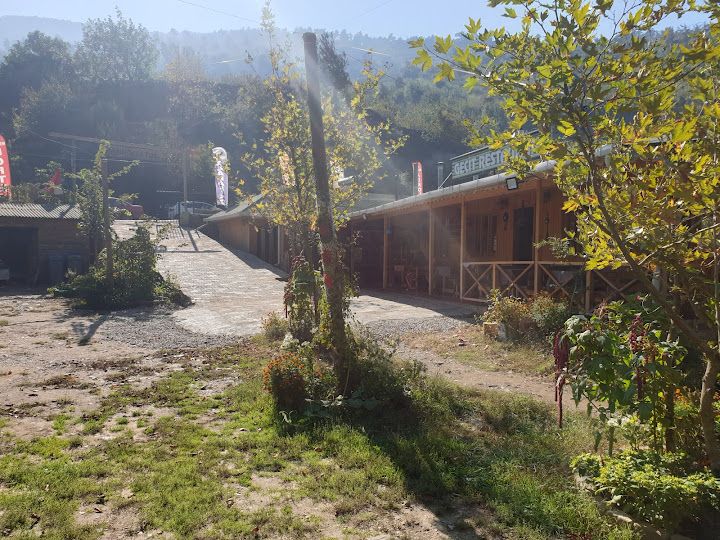 Fotoğraf 59
