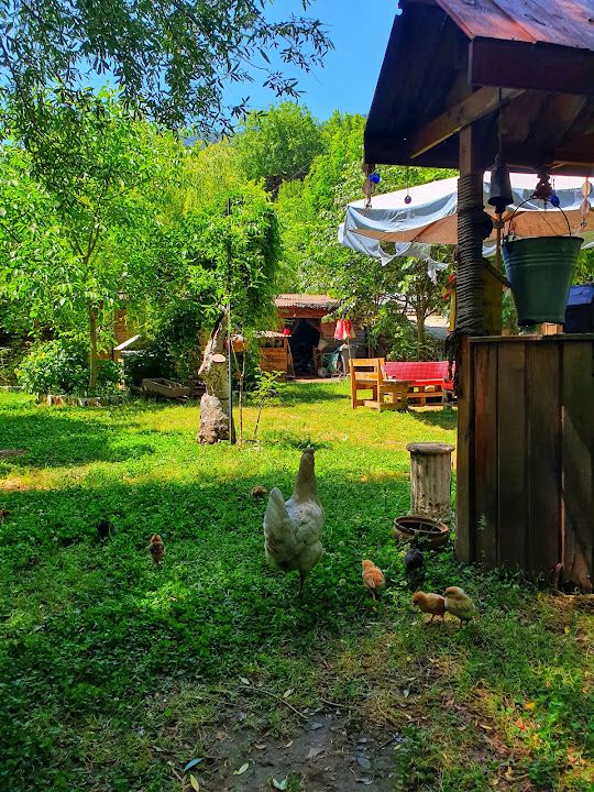 Yorum fotoğrafı 4