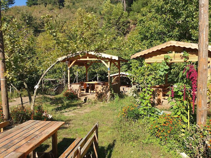 Fotoğraf 57