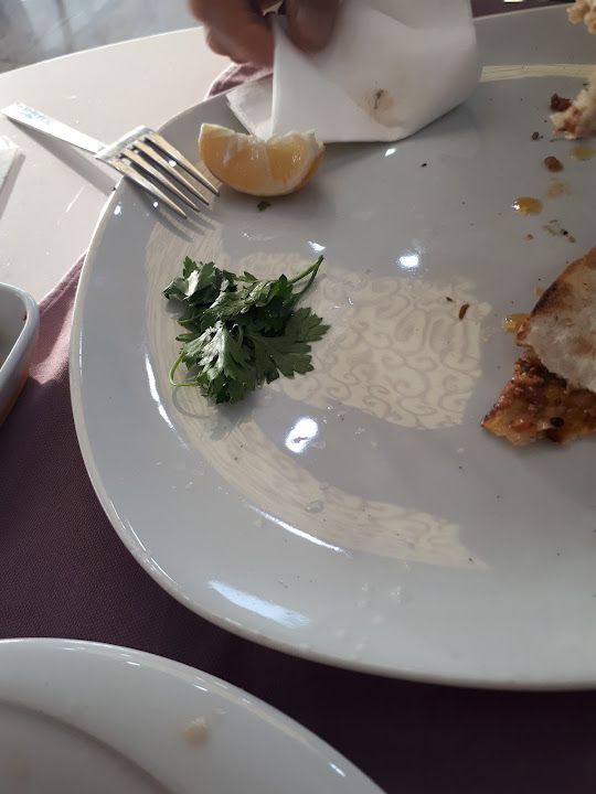Fotoğraf 37