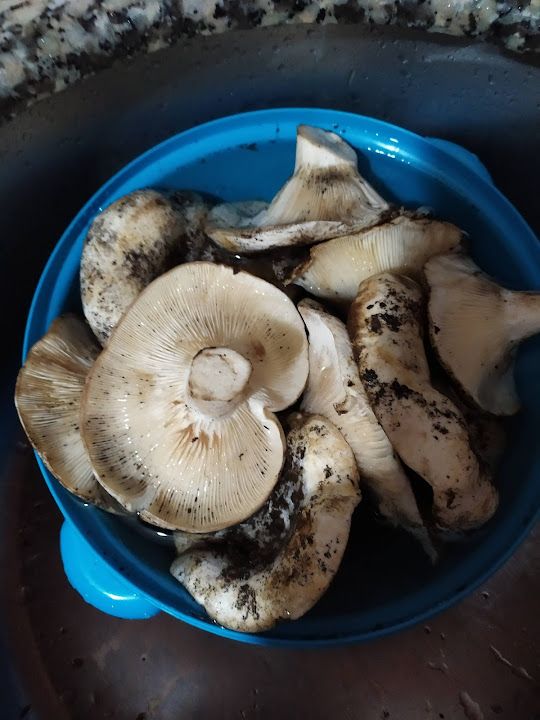 Fotoğraf 29
