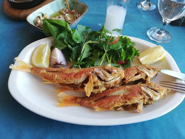 Fotoğraf 32
