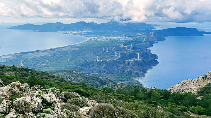 Fotoğraf 28