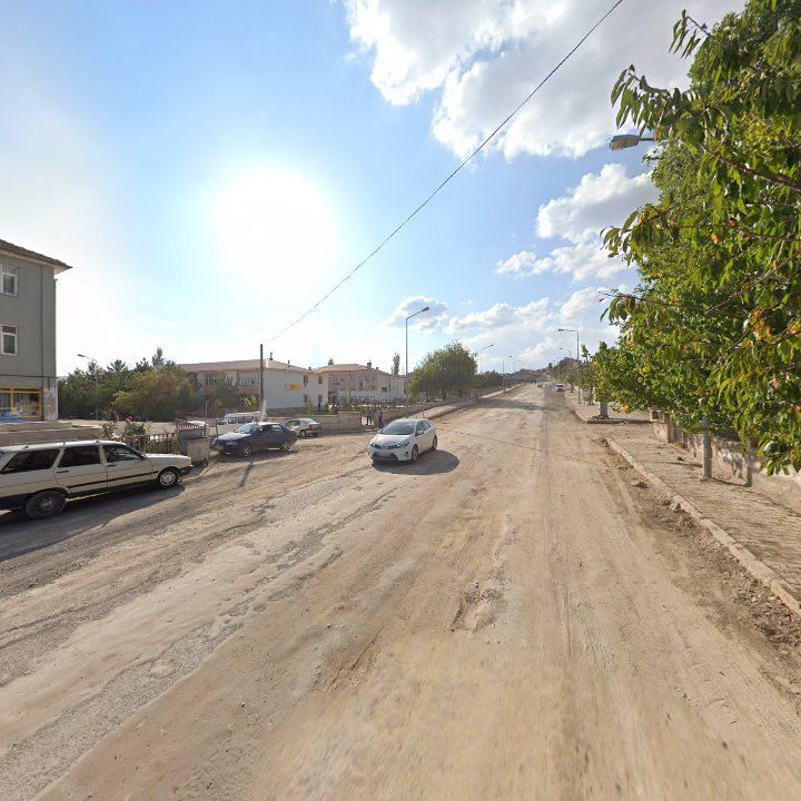 Sızır Alabalık