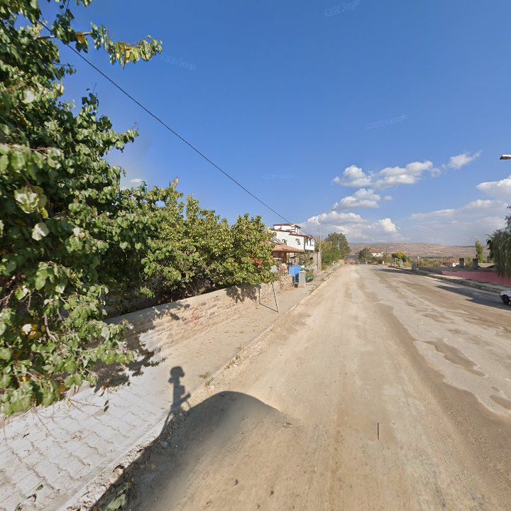 Fotoğraf 3