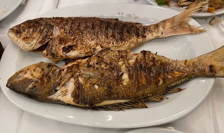 Fotoğraf 30