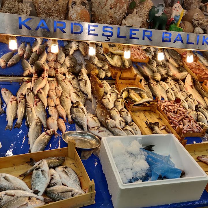 Fotoğraf 31