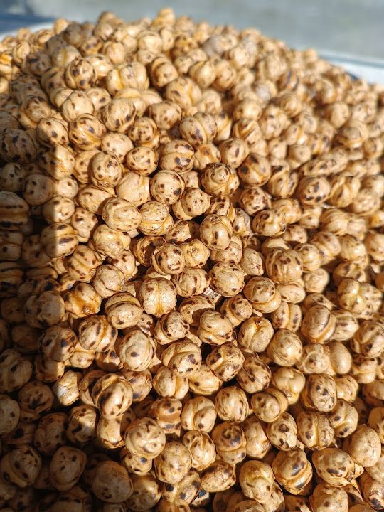 Fotoğraf 13