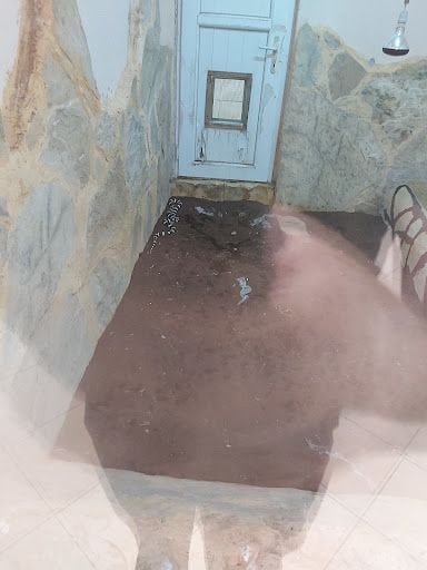 Yorum fotoğrafı 8