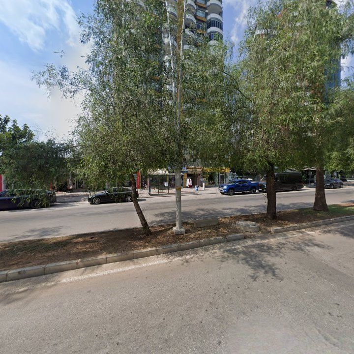 Fotoğraf 12