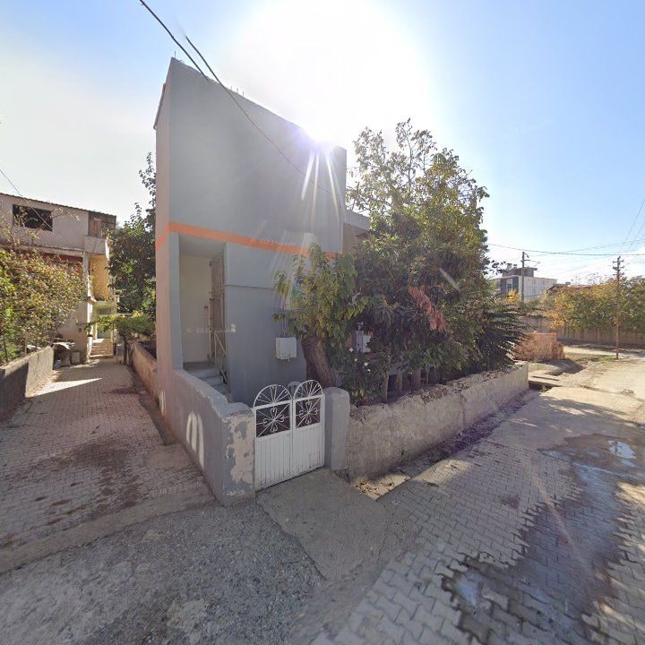 Fotoğraf 6