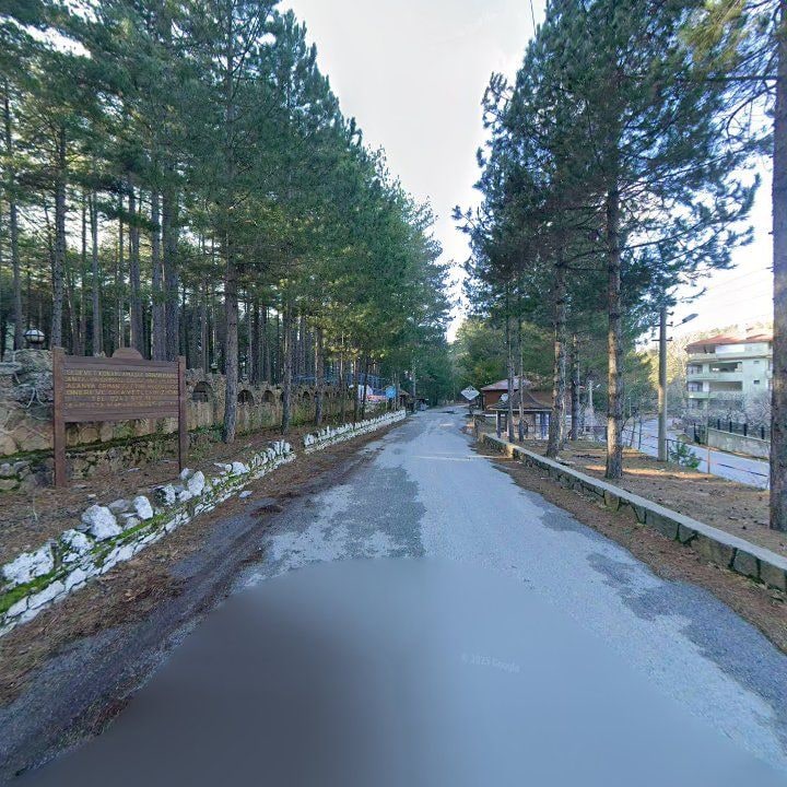 Fotoğraf 6