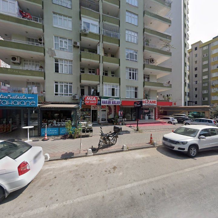Fotoğraf 10