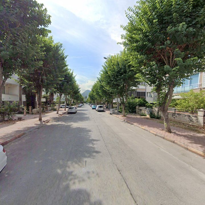 Fotoğraf 13