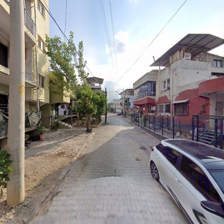 Fotoğraf 8