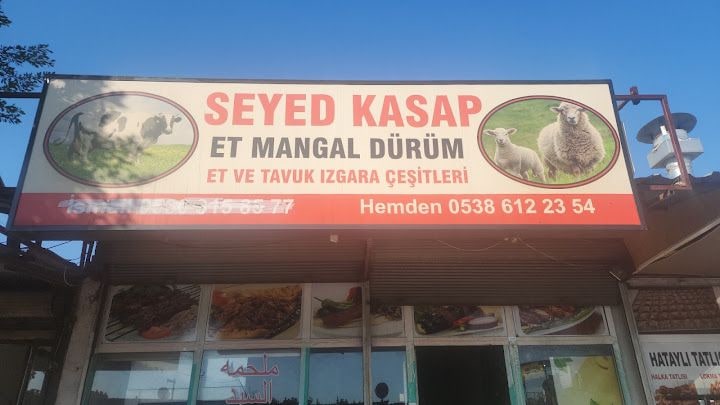 ملحمة السيد
